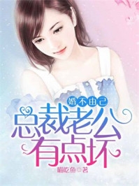 《婚不由己总裁老公有点坏》大结局在线阅读 陈诺陆明煜是什么小说