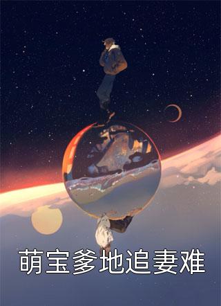 萌宝爹地追妻难小说by寒芝完整版在线免费阅读全文