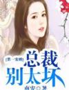 《甜蜜宠婚：总裁别太坏》夏子夕穆少天小说-全文阅读