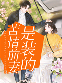 主角宋云欢傅晋言苦情前妻是装的小说免费在线阅读全本