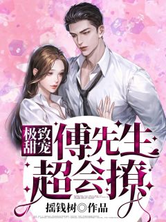 主角名字林萧傅盛霆的小说极致甜宠，傅先生超会撩免费在线阅读
