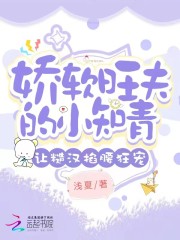 小说谢晨曦刘景森全文免费阅读