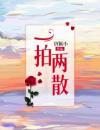 《智者不入爱河》陈念徐晏清章节列表精彩试读