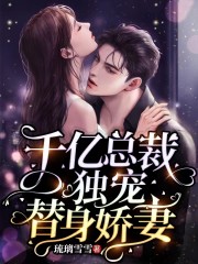 第1章隐婚妻子苏瓷傅南城小说完本琉璃雪雪