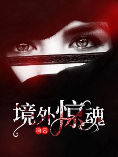 《境外惊魂》小说章节目录免费阅读 刘斌小美小说全文