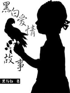 韩天娇刘震宇小说《黑白爱情故事》黑与白在线阅读