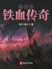 穿越陕西边抗日小说完整版 [军事]胡斌胡长贵全本阅读