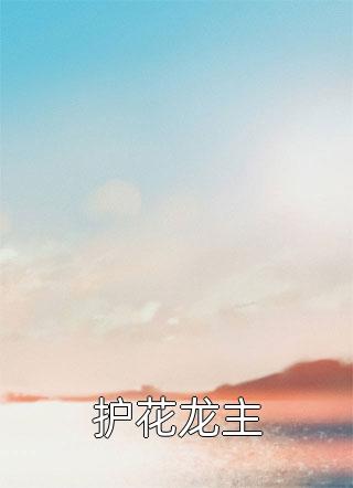 护花龙主小说在线免费阅读作者胖喵鱼