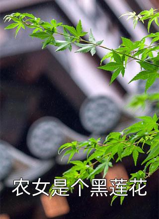 （连载） 林樱贺辞林宴小说章节目录